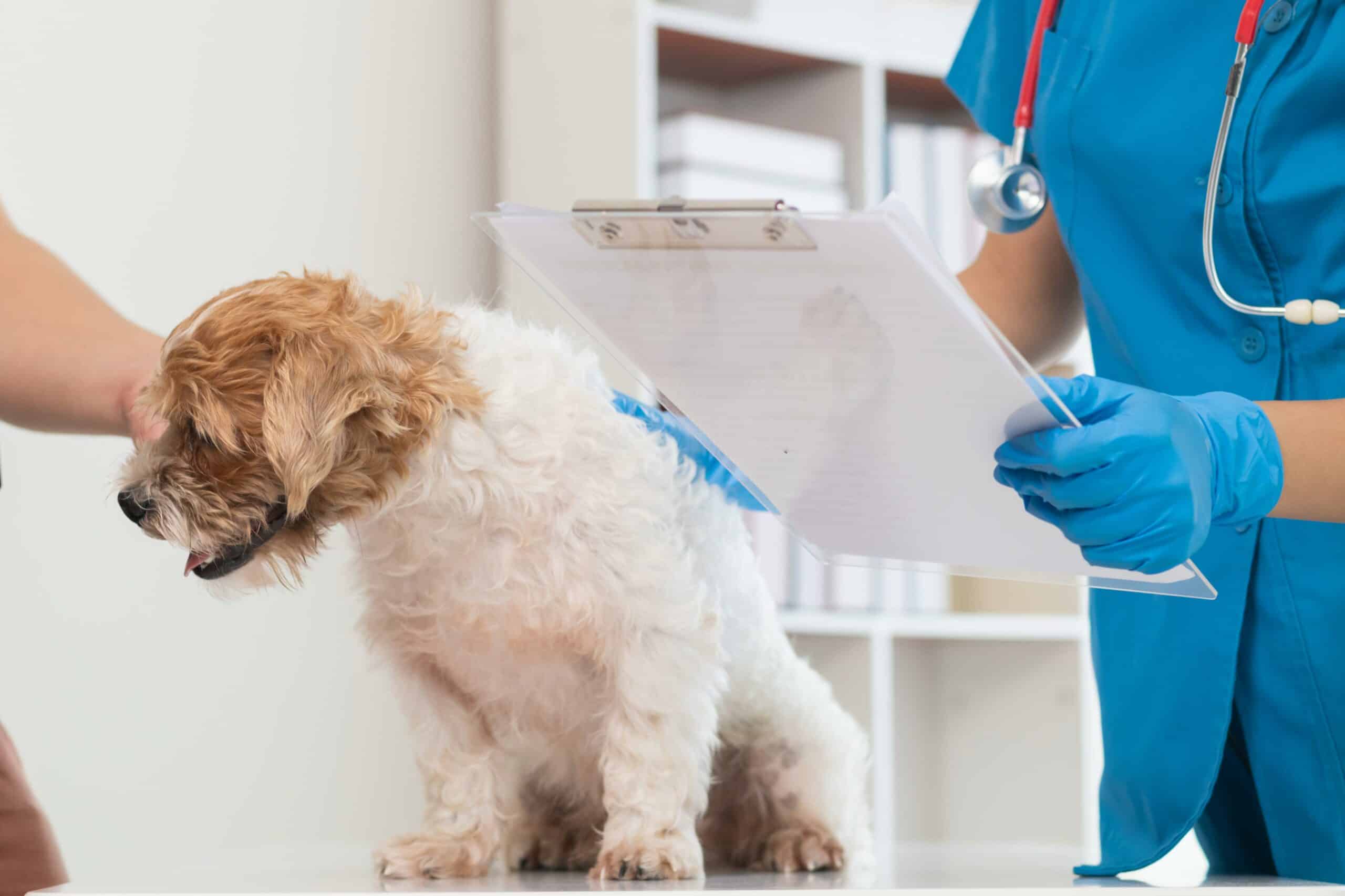 Deland What We’re Looking For