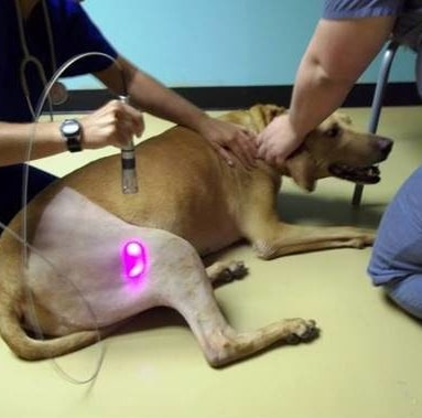 Laser Surgery for Reduced Pain and Faster Recovery