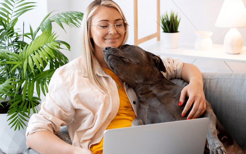 New Tools for Pet Owners