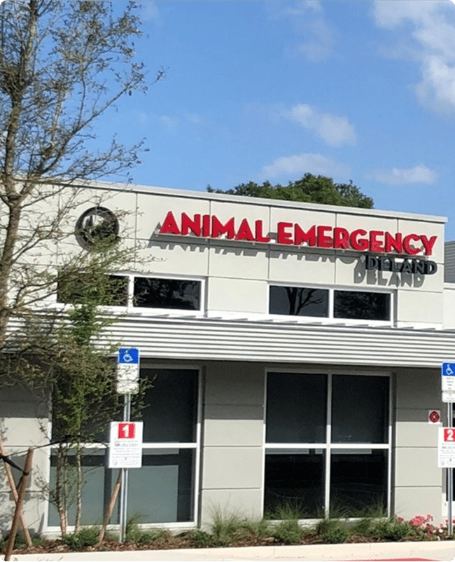 Welcome to Animal Emergency Hospital DeLand