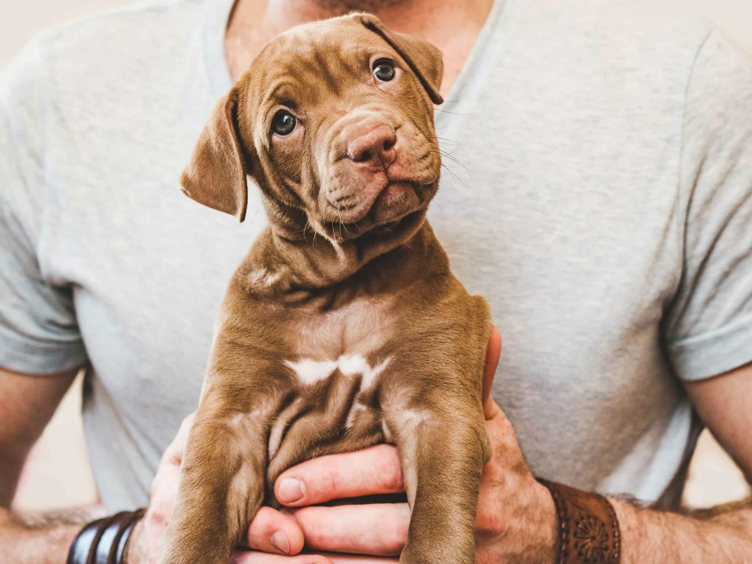 What to Expect During an Emergency Visit